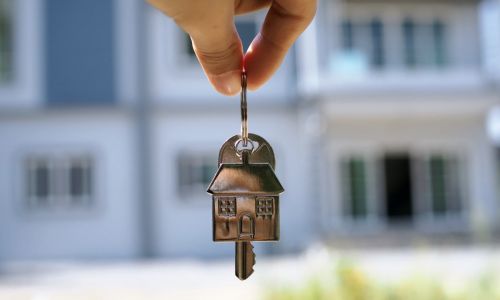 provisor google reviews