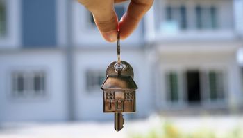 provisor google reviews